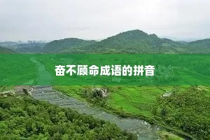 奋不顾命成语的拼音