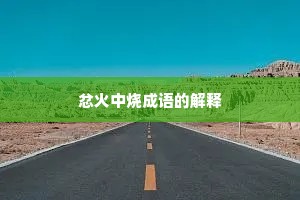 忿火中烧成语的解释