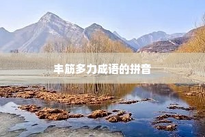 丰筋多力成语的拼音