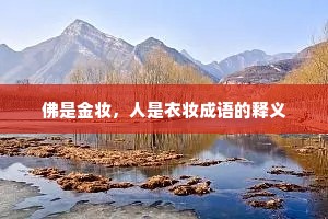 佛是金妆，人是衣妆成语的释义