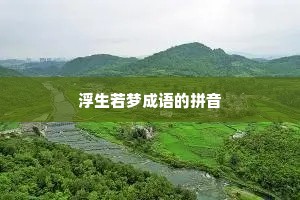 浮生若梦成语的拼音