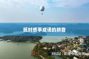 抚时感事成语的拼音