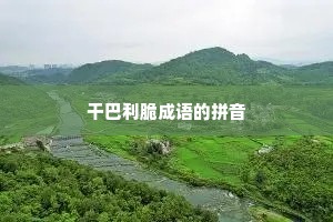 干巴利脆成语的拼音