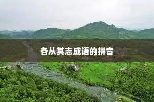 各从其志成语的拼音