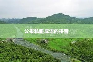 公报私雠成语的拼音