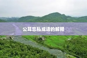 公耳忘私成语的解释