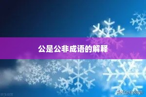 公是公非成语的解释