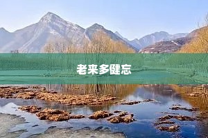 情感经典语录短句（精选8篇）