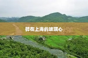 情感经典语录大全（通用8篇）