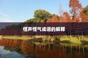 怪声怪气成语的解释