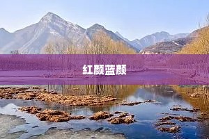 情感经典语录四字（精选40句）