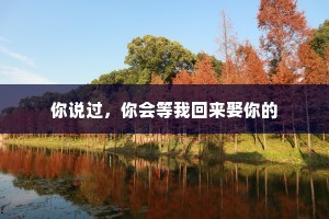 陆雪琪的情感经典语录（通用40句）