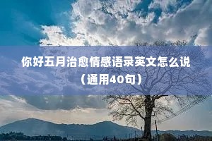 张小娴的情感经典语录自我救赎（精选40句）