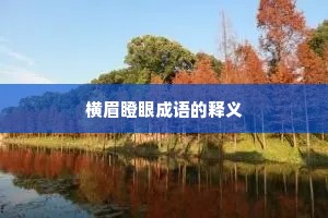 横眉瞪眼成语的释义