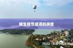 横生枝节成语的拼音
