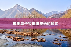 横挑鼻子竖挑眼成语的释义