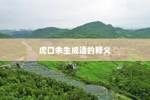虎口余生成语的释义