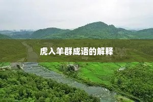 虎入羊群成语的解释