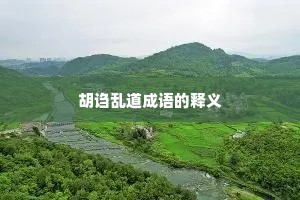 胡诌乱道成语的释义
