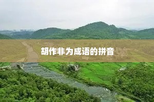 胡作非为成语的拼音