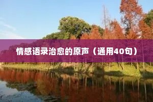 丹东情感网经典语录（通用40句）