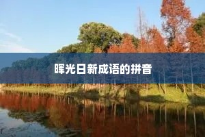 晖光日新成语的拼音