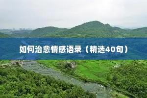 情感专家涂磊最新经典语录（精选8篇）