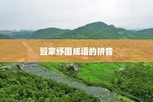 毁家纾国成语的拼音
