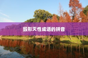 毁形灭性成语的拼音