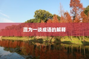混为一谈成语的解释