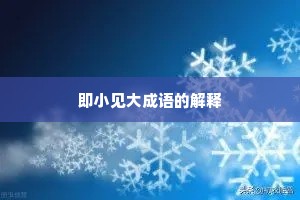 即小见大成语的解释