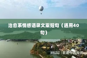 卢本伟经典语录情感（通用8篇）