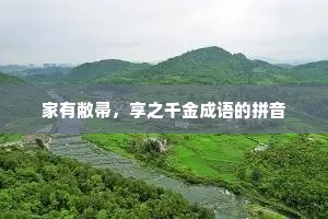 家有敝帚，享之千金成语的拼音