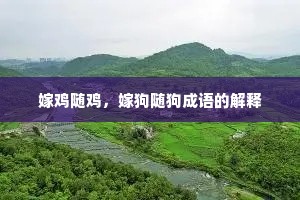 嫁鸡随鸡，嫁狗随狗成语的解释