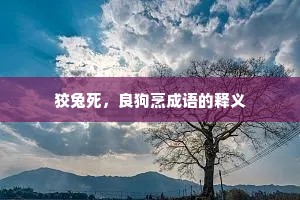 狡兔死，良狗烹成语的释义