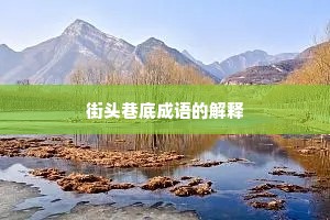 街头巷底成语的解释