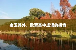 金玉其外，败絮其中成语的拼音