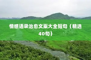 情感苦旅经典语录（精选40句）