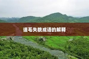 谨毛失貌成语的解释