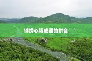 锦绣心肠成语的拼音