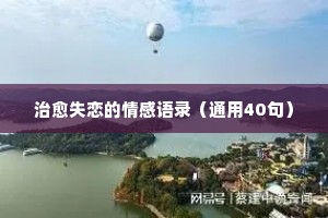 杨澜经典语录情感感悟（精选8篇）
