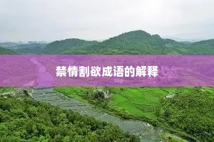 禁情割欲成语的解释