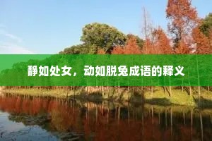 静如处女，动如脱兔成语的释义