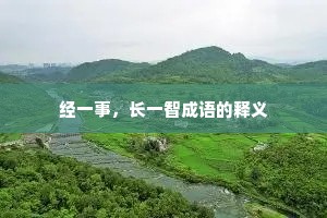 经一事，长一智成语的释义