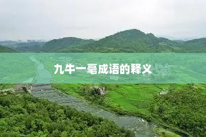 九牛一毫成语的释义