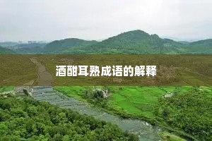 酒酣耳熟成语的解释