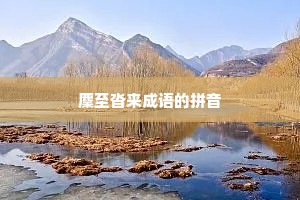 麇至沓来成语的拼音
