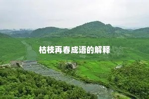 枯枝再春成语的解释