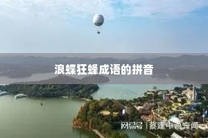 浪蝶狂蜂成语的拼音