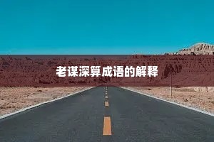 老谋深算成语的解释